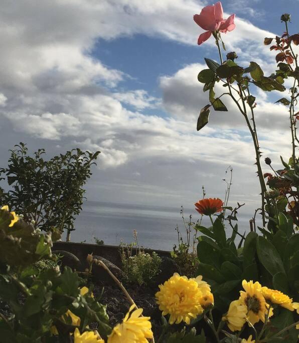 Sunflower Guest House - Madalena - Pico Sao Caetano  المظهر الخارجي الصورة