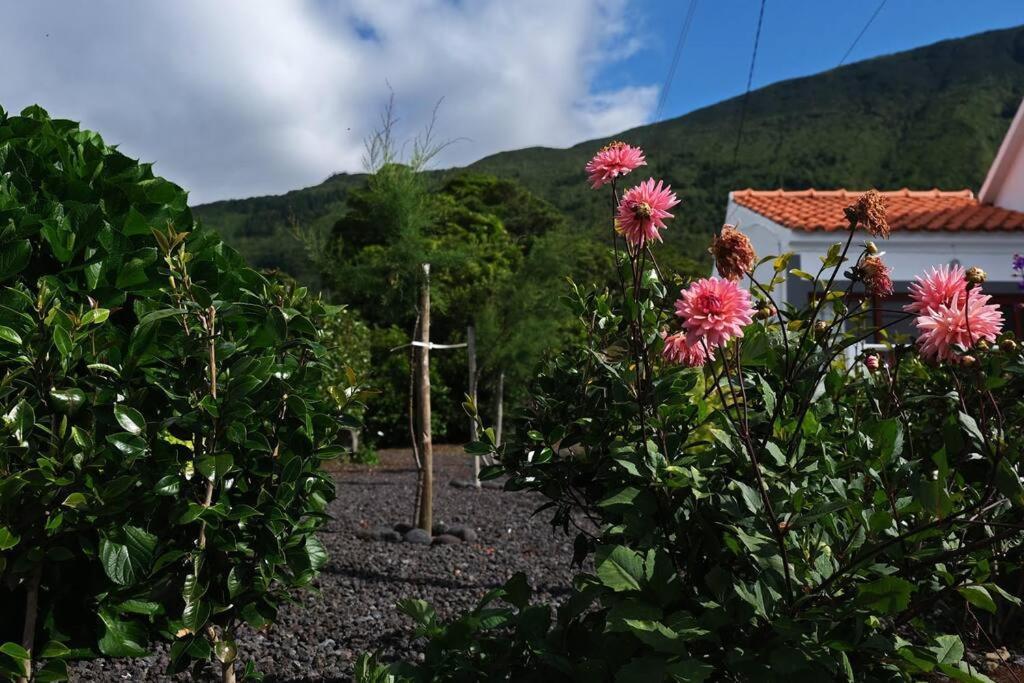 Sunflower Guest House - Madalena - Pico Sao Caetano  المظهر الخارجي الصورة