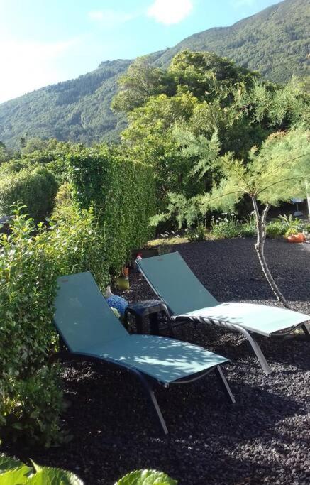 Sunflower Guest House - Madalena - Pico Sao Caetano  المظهر الخارجي الصورة
