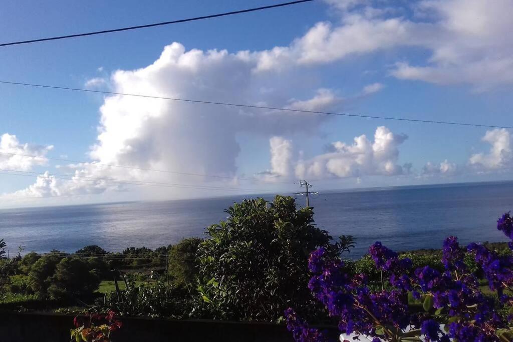 Sunflower Guest House - Madalena - Pico Sao Caetano  المظهر الخارجي الصورة