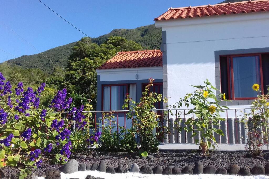 Sunflower Guest House - Madalena - Pico Sao Caetano  المظهر الخارجي الصورة