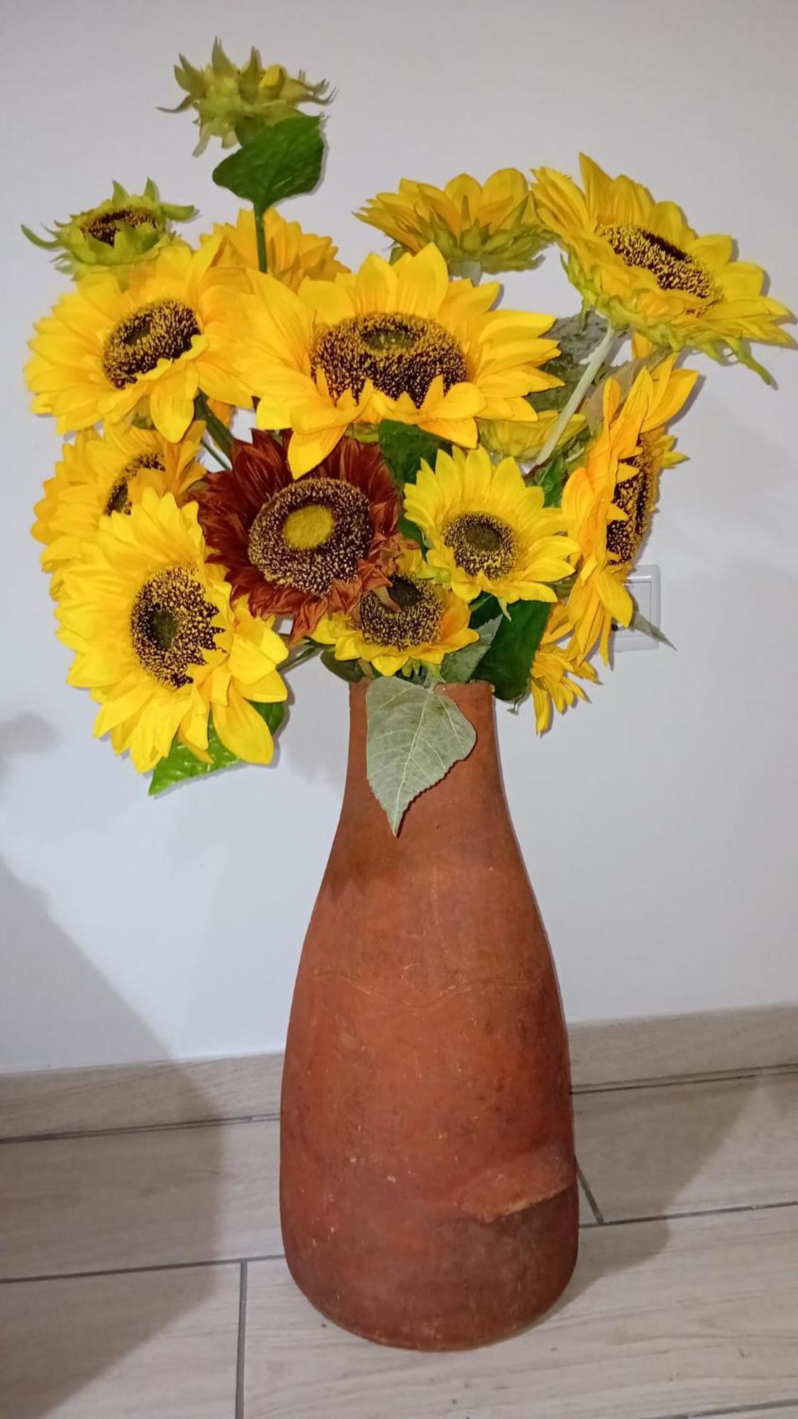 Sunflower Guest House - Madalena - Pico Sao Caetano  المظهر الخارجي الصورة