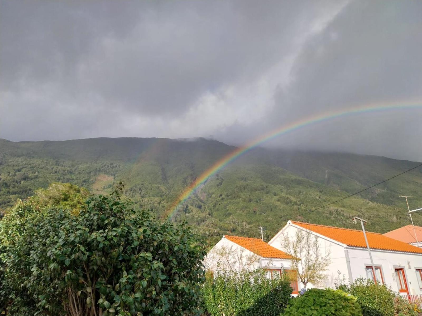 Sunflower Guest House - Madalena - Pico Sao Caetano  المظهر الخارجي الصورة